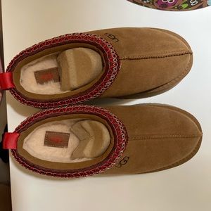 Uggs tasman platform